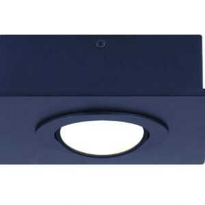BISCAYNE LED Flush Mount Light (Black)
