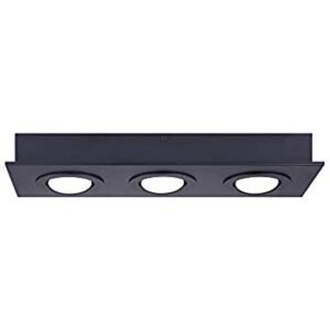 BISCAYNE LED Flush Mount Light (Black)
