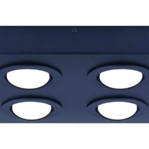 BISCAYNE LED Flush Mount Light (Black)