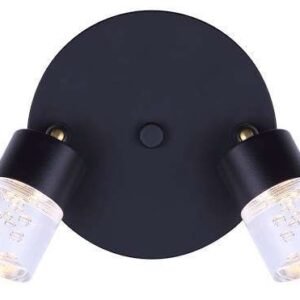 FITZ LED Ceiling Fixture