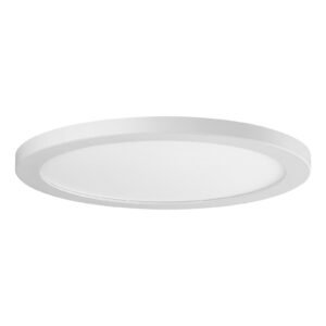 LED 12 inch Flush Mount 24w 3CCT