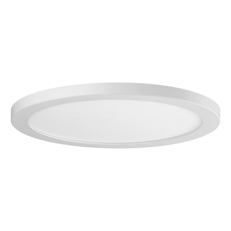 24w φ12inch Led Flush Mount 3cct Light