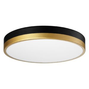 13 inch Flush Mount 20W 3CCT